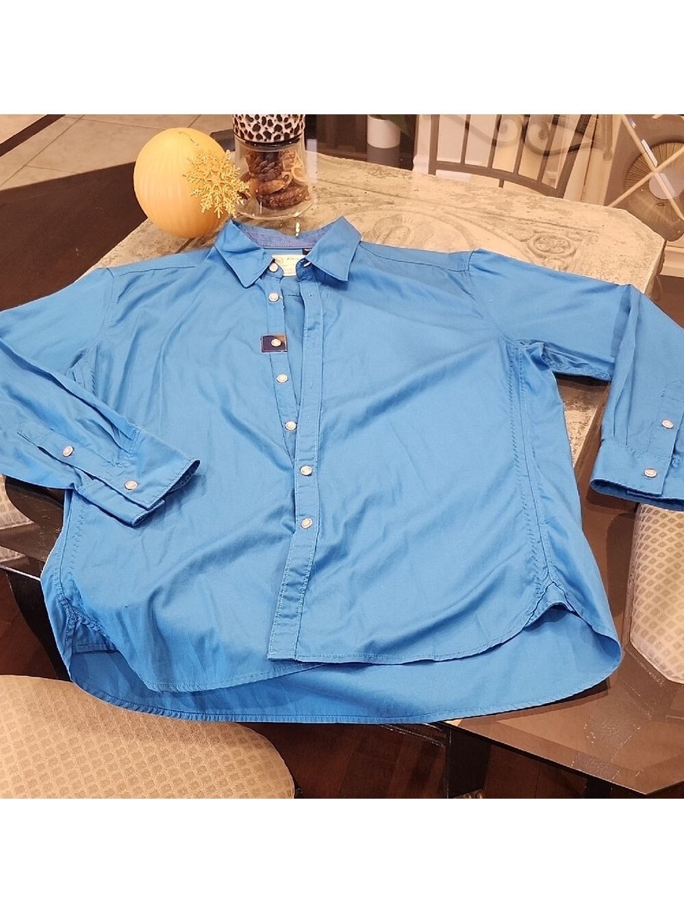Robert Graham Vibrant Blue Casual Button Down Shirt XL